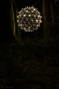 15th Dec 2022 - Light Globe in the Trees