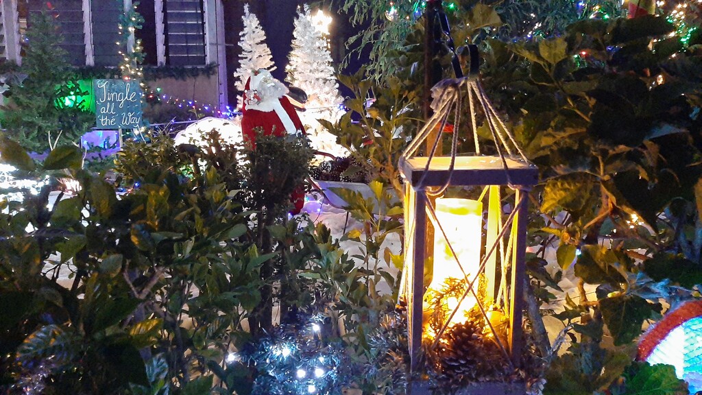 Christmas Lights by mozette