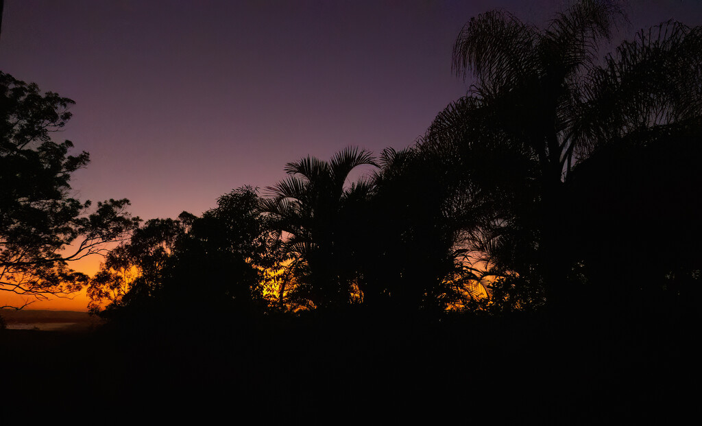 beautiful early mornings by koalagardens