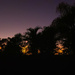 beautiful early mornings by koalagardens
