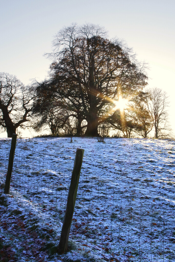 A Winter's Landscape's Portrait by 30pics4jackiesdiamond