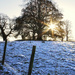 A Winter's Landscape's Portrait by 30pics4jackiesdiamond