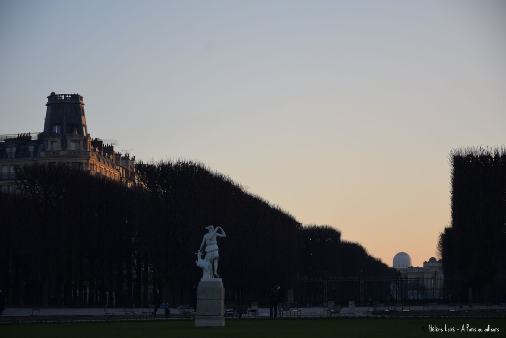 Sunset in the Luxembourg garden by parisouailleurs