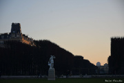 5th Dec 2022 - Sunset in the Luxembourg garden