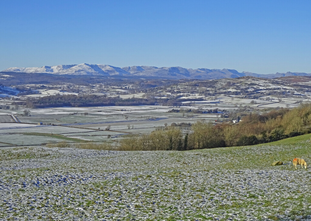 A wintry walk with a view by marianj