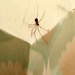  Daddy long leg escaping the cold  by bruni
