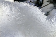 16th Dec 2022 - Ice crystals 