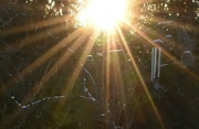 16th Dec 2022 - The sun's rays bursting through a gap in the trees