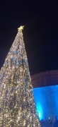 15th Dec 2022 - Christmas Tree