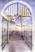 16th Dec 2022 - Doorway to Paradise