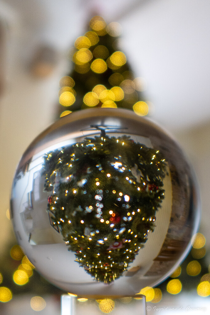 Christmas tree globe by ingrid01