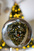 16th Dec 2022 - Christmas tree globe