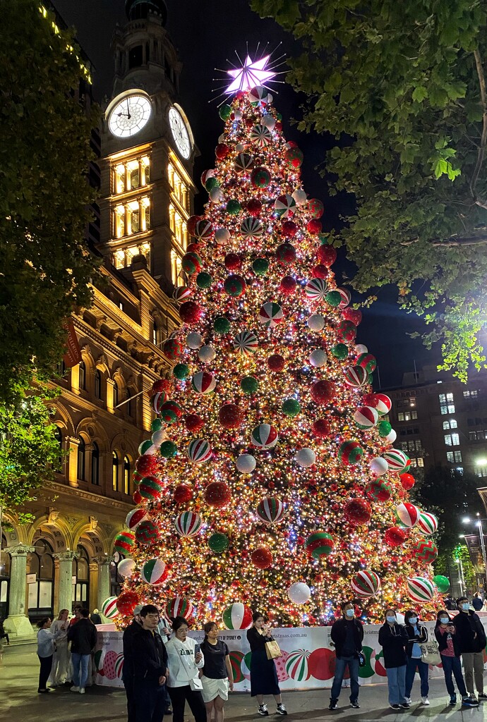 Annual Christmas tree in the CBD Sydney.  by johnfalconer