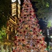Annual Christmas tree in the CBD Sydney.  by johnfalconer