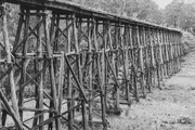 10th Dec 2022 - Stoney Creek Trestle Bridge