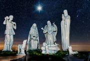 16th Dec 2022 - Star of Bethlehem