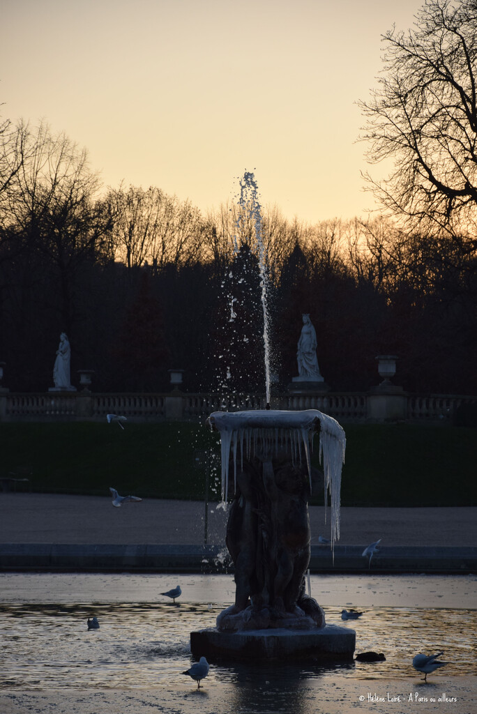 frozen sunset in Paris  by parisouailleurs