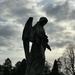 "Weeping Angel" by 365projectmaxine