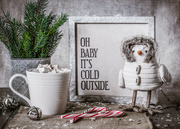 6th Dec 2018 - Baby, It’s Cold Outside