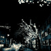 city street at night by cam365pix