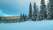 17th Dec 2022 - More winter wonderland