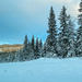 More winter wonderland by elisasaeter