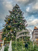 16th Dec 2022 - Giant Tree in Strasbourg