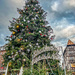 Giant Tree in Strasbourg by kwind
