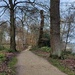 At Trentham Gardens by roachling