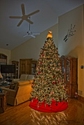 13th Dec 2022 - Christmas Tree