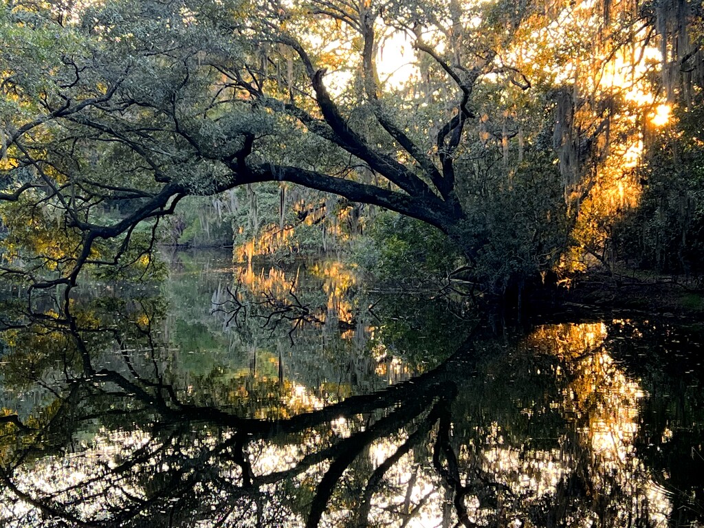 Shadows, reflections and afternoon light by congaree