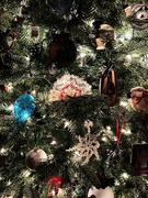 17th Dec 2022 - Our Christmas Tree