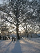 17th Dec 2022 - Burwell Churchyard 