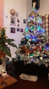 18th Dec 2022 - Our Christmas Tree.