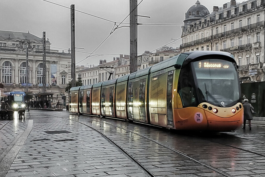 Montpellier trams by laroque