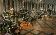 18th Dec 2022 - Christmas Tree Festival