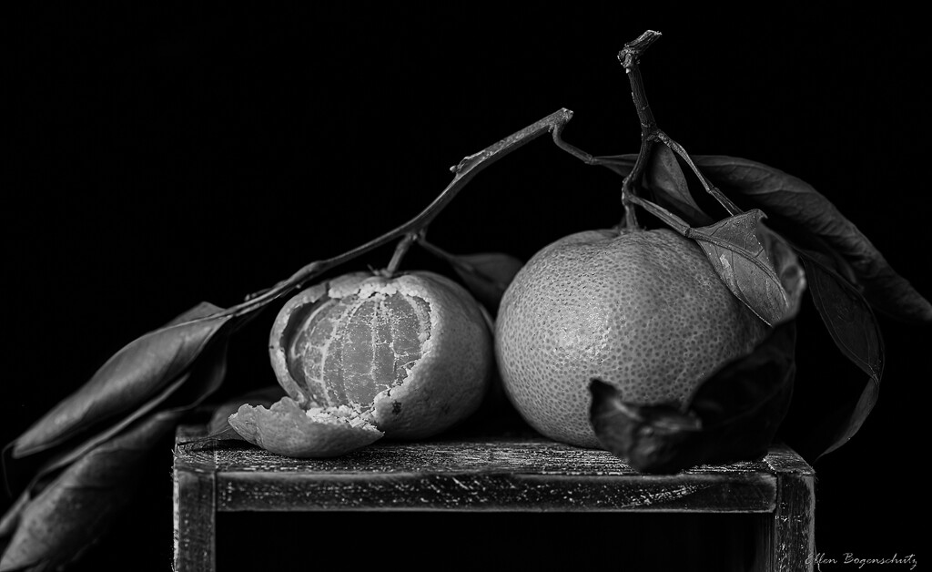 Tangerines Again by theredcamera