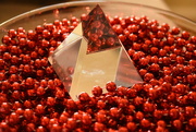 18th Dec 2022 - Cranberry pyramid