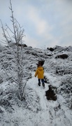 11th Dec 2022 - A walk in the snow