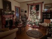 18th Dec 2022 - Oh Christmas tree