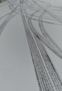 18th Dec 2022 - Tracks in the Snow 