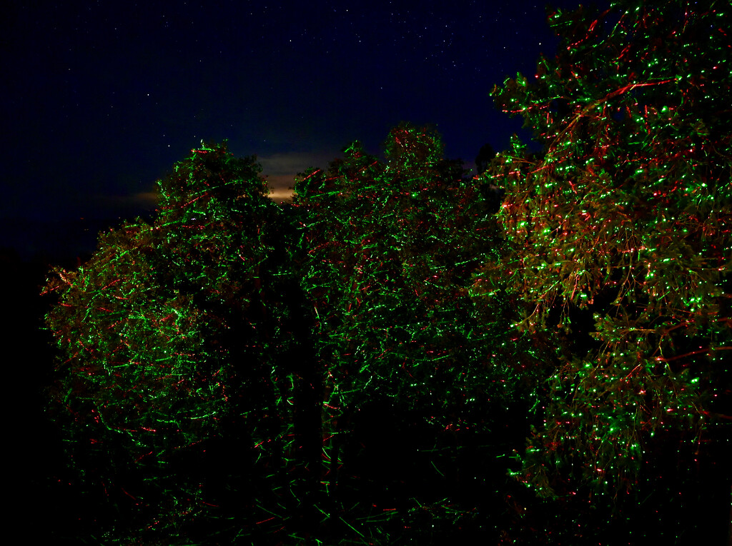 Holiday Lights by ososki