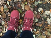 19th Dec 2022 - New walking boots!