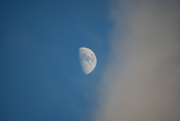 3rd Dec 2022 - Clouds and Moon Collide