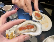 17th Dec 2022 - Oysters  