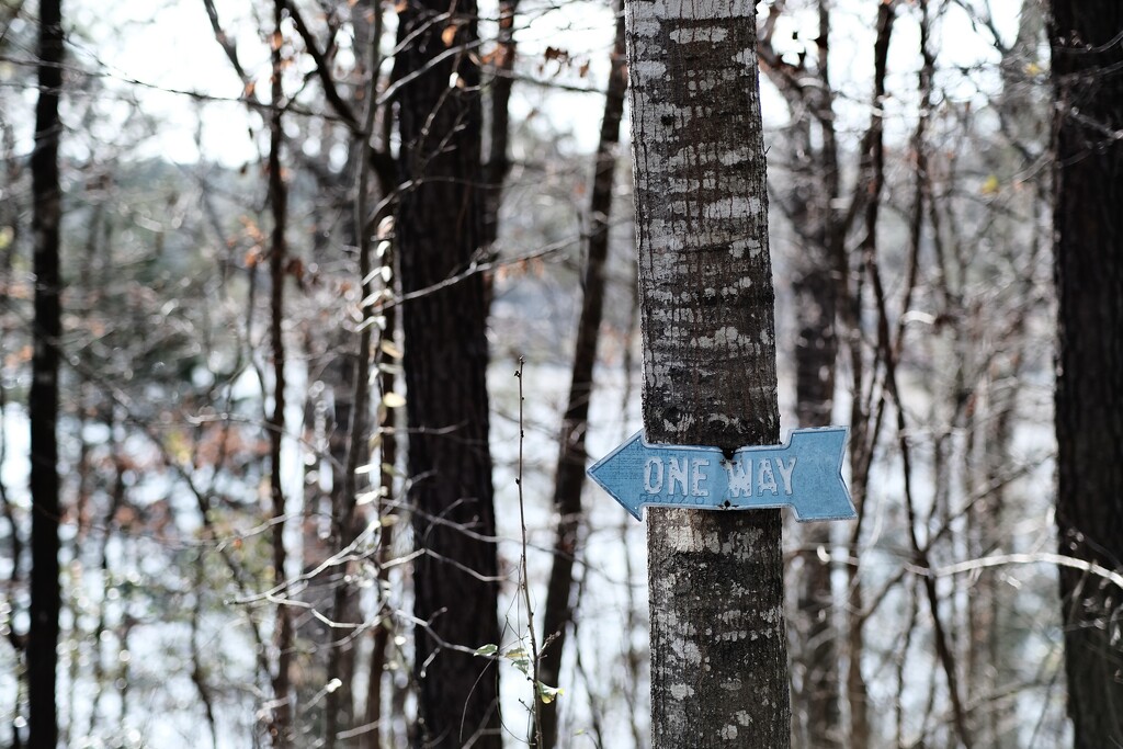 One way by clayt