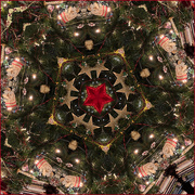 18th Dec 2022 - Christmas Tree kaleidoscope 