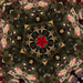 Christmas Tree kaleidoscope  by marshwader