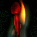 Flame by gaf005