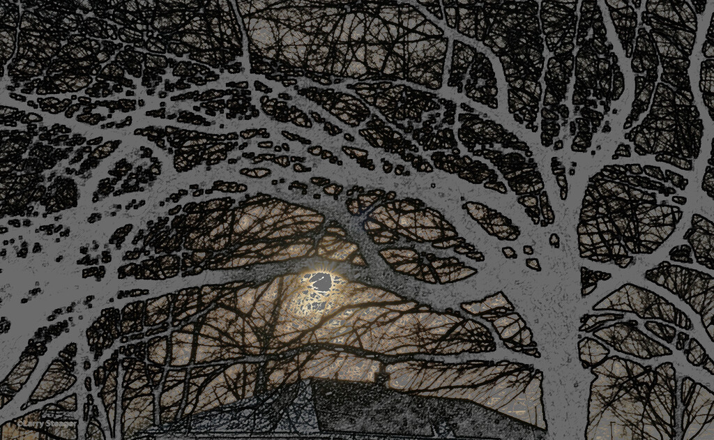 Winter ghost tree by larrysphotos